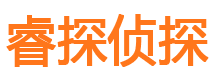 定结市私人侦探